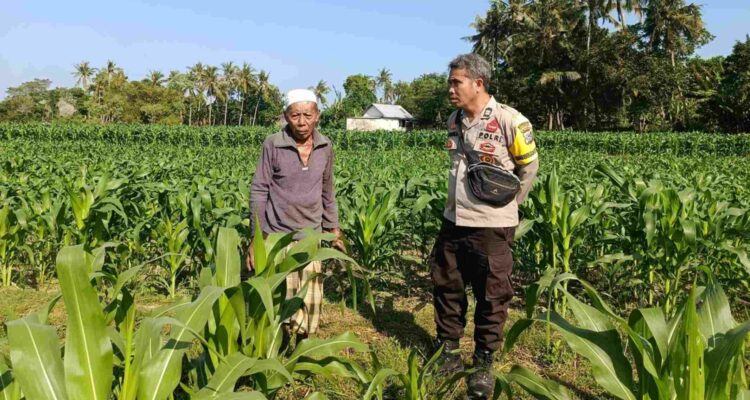 Cara Polsek Batulayar Ubah Pekarangan Jadi Sumber Ekonomi